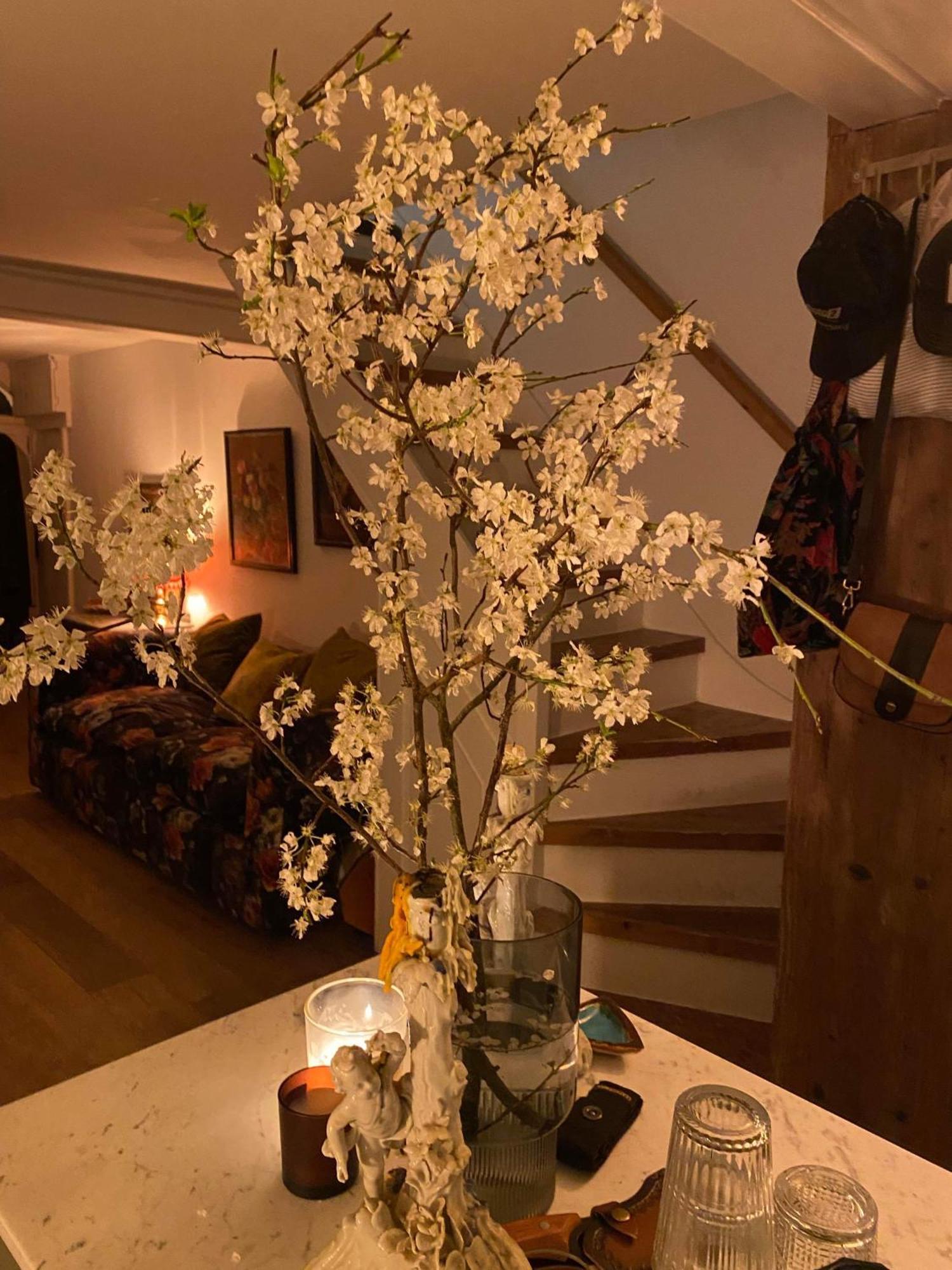 Stylish & Cosy Boutique Townhouse 1 Bedroom, 1 Sofa Bed - Sleeps 4 Christchurch  Esterno foto
